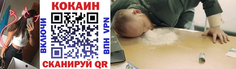 КОКАИН Fish Scale  Купить закладки  Алейск 